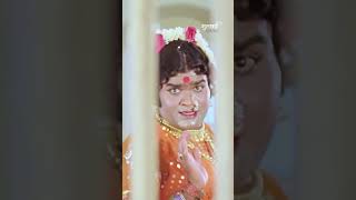 Download lagu Navi Navi Navari Mee | Marathi Song | Ashok Saraf | Gulchhadi | Comedy | #ultrajhakaas mp3