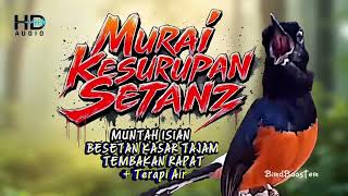 Download lagu 12 JAM MASTER KRETEKAN EMOSI MURAI BATU GACOR NEMBAK ISIAN KASAR TAJAM!! mp3 Download lagu 12 JAM MASTER KRETEKAN EMOSI MURAI BATU GACOR NEMBAK ISIAN KASAR TAJAM!! mp3