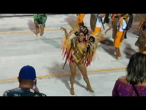 Carnaval Santos 2019 - Zona Noroeste