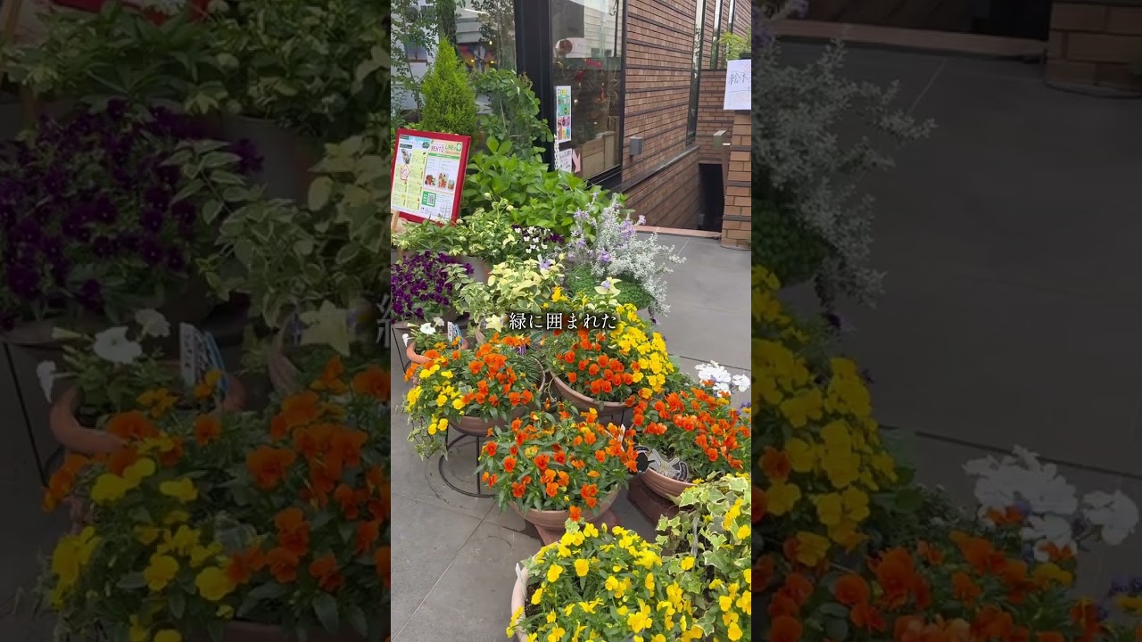 最高の東京ビュッフェ