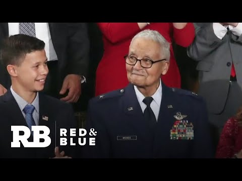 Tuskegee Airman Charles McGee dies at 102