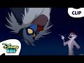 Timon Gets Advice From Rafiki The Lion King 1 1 2 Disneykids