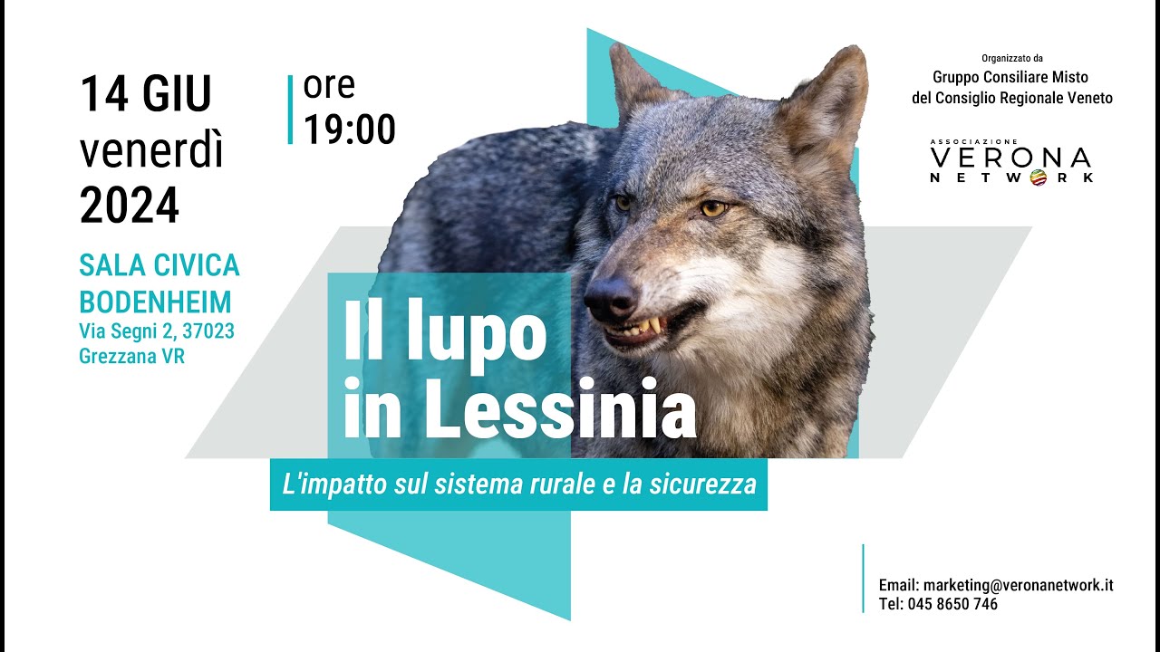 Descrizione dell'immagine