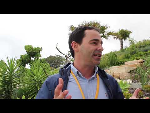 Michael Hromek, Indigenous design specialist