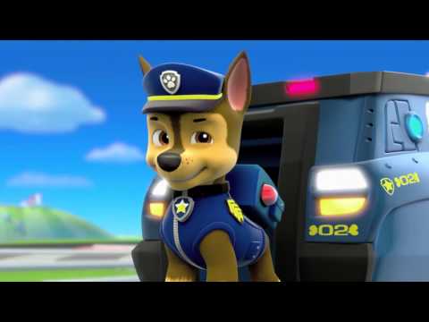 Paw Patrol Character Spotlight  - Chase