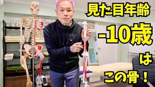 【アンチエイジングの秘訣】老け見え・猫背・首の詰まりはここが原因!「〇〇骨」を整えて一瞬で若返る骨学講義【VOL.1】