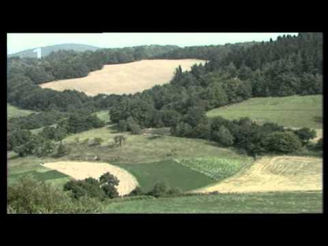 Kdysi před lety - Hana a Petr Ulrychovi