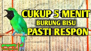 Download lagu Langsung Mau Jamtrok !! Cucak Ijo Gacor Full Isian Tembakan, Ampuh Untuk Pancingan Cucak Ijo Lomba! mp3