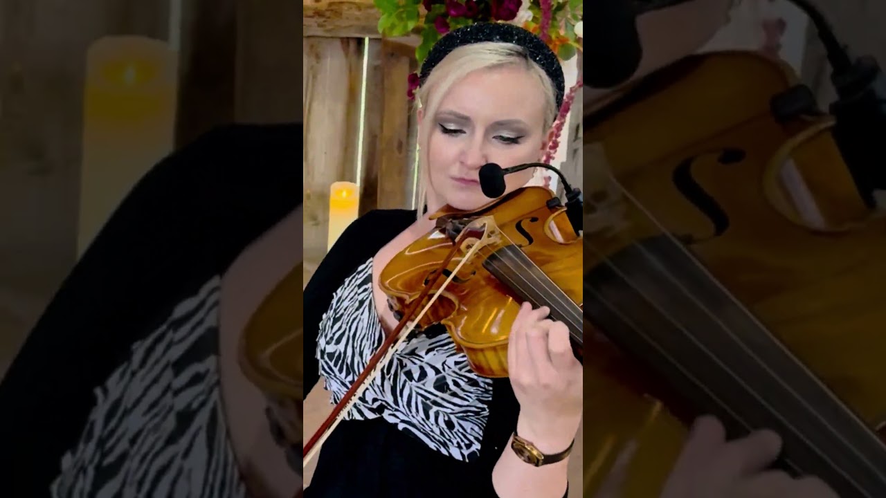 Promotional video thumbnail 6 for Luxury Violinist