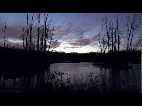 Ferris Tour, 12/4/2021