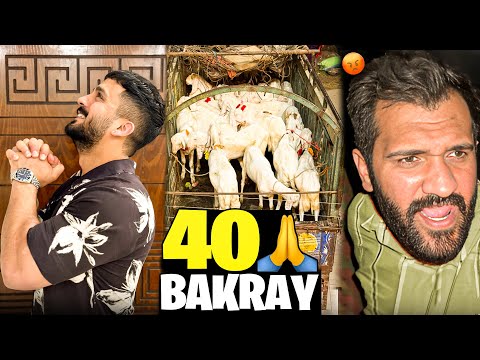 Allhumdulillah 40 Bakray for Qurbani🙏🏻Dogar Awazar in the Mandi😂