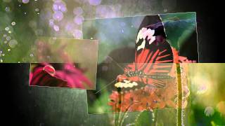 Make Me A Servant - Kelly Willard