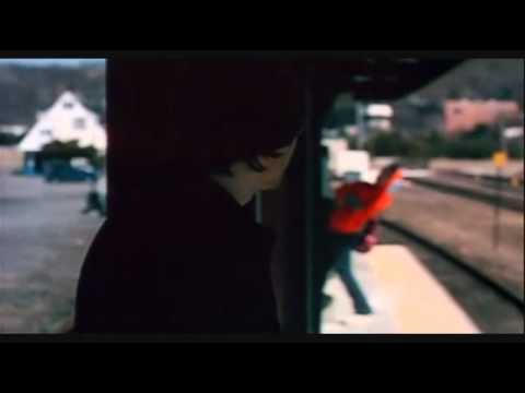 Virus   Pronta Entrega