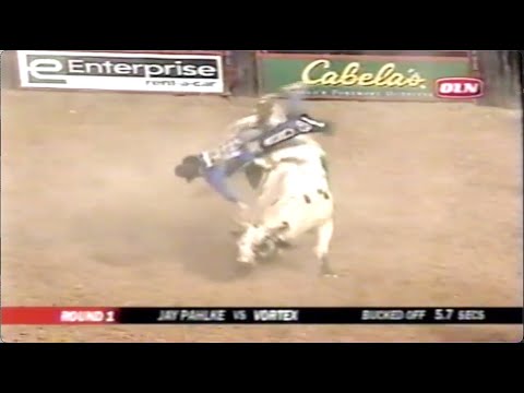 Western Showtime bucks Mike White - 06 PBR Phoenix