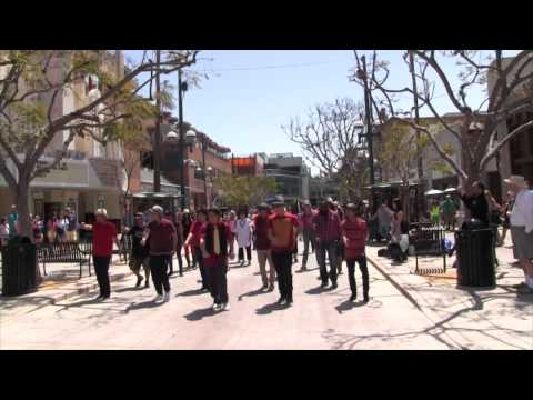 Ed & Nahrein's Proposal Flash Mob--Dance Mob Nation