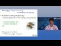 Experimental Genome Science || 2   2   Lecture 6  Forward Genetic Screens