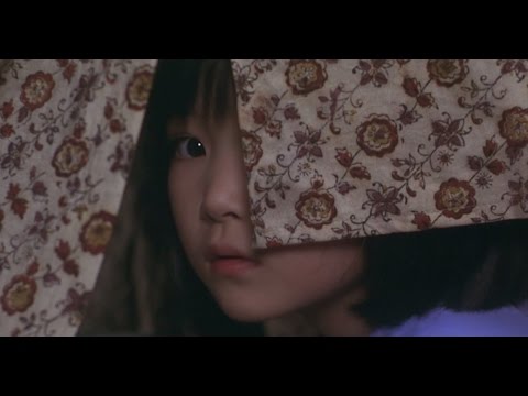 Hide and Seek