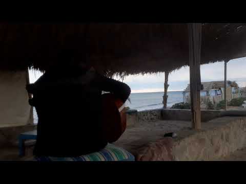 Gamar badawi_unknown