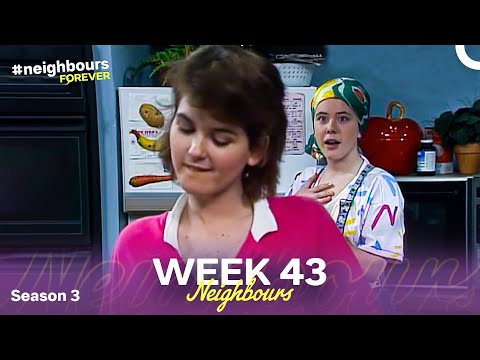 Week 43 | Episodes 611-615 | Neighbours 1987 (Season 3)