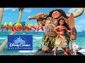 Moana Disneycember