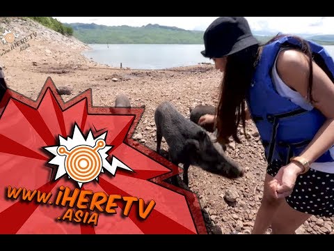 เขื่อนศรีนครินทร์