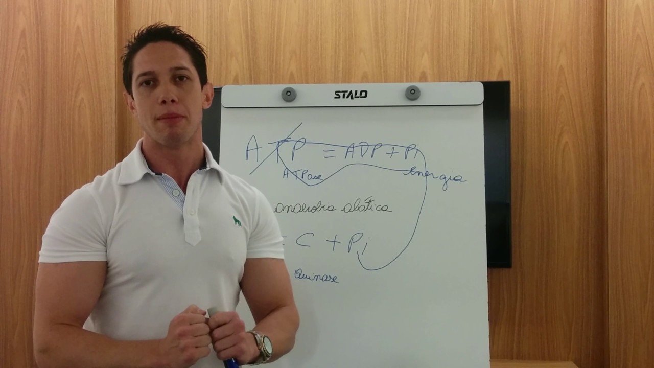 Via anaeróbia alática