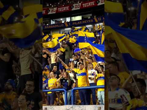 "“No te olvides que en tu cancha, Tigres salió campeón”#barrasbravas #tigres #uanl #hinchada" Barra: Libres y Lokos • Club: Tigres • País: México