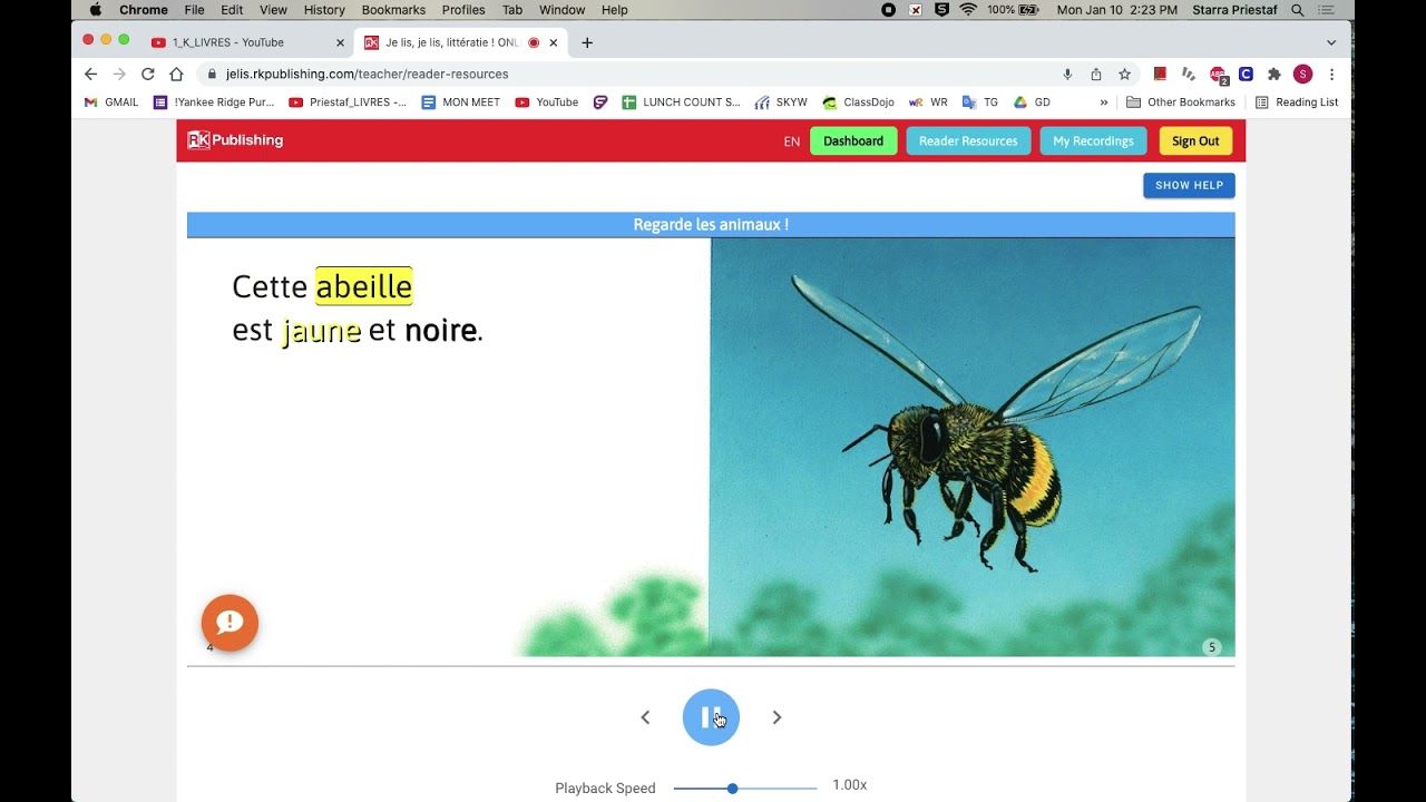 Regarde les animaux B