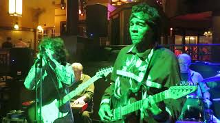 Mighty Michael Mendelson harmonica solo