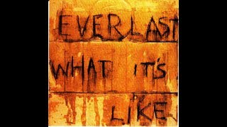 Everlast -  'What it's like' - House Of Pain 25th Annivesary Celebration