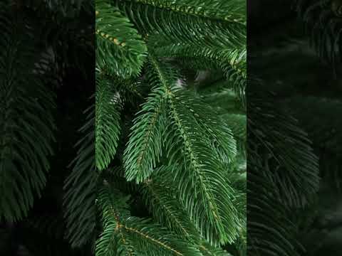 фото акция премиум литая новогодняя елка / искусственная новогодняя ель 210 см 0