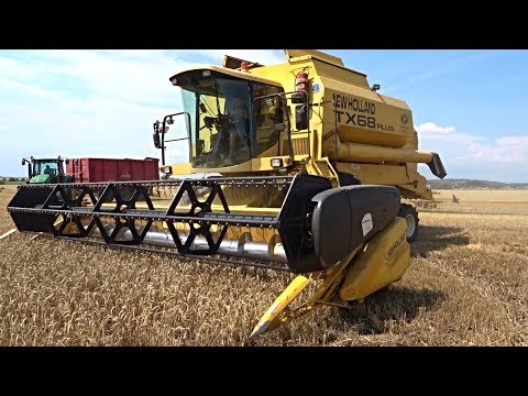 2x NEW HOLLAND TX68 PLUS | HARVEST WHEAT 2017 | Tractor John Deere| Agriculture