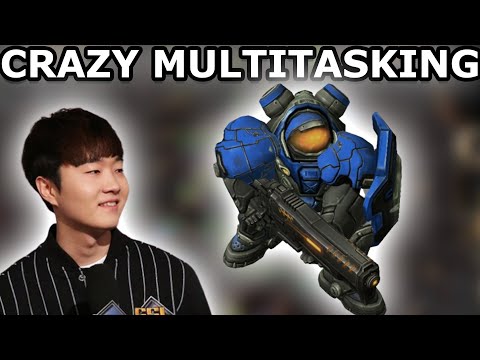 Lambo (Z) vs Bunny (T)