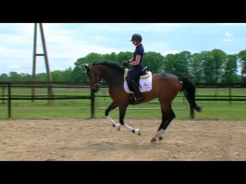 Enja v. Escolar-Lancer II