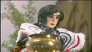 非凡公子的鳥 非凡公子的鳥