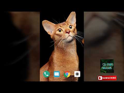 code rahsia untuk neffos x9