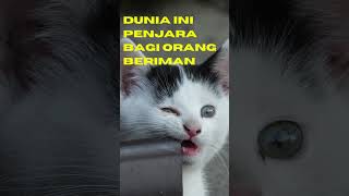Download lagu Story Hijrah/Kata-kata Motivasi #shortvideo #shorts #motivation #status #viral #trending #tiktok mp3