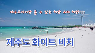 Best 6 White Sand Beaches in Jeju Island