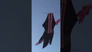 Download lagu Bebean Bigsize Banaspati Raja😱, will it go up again??? mp3