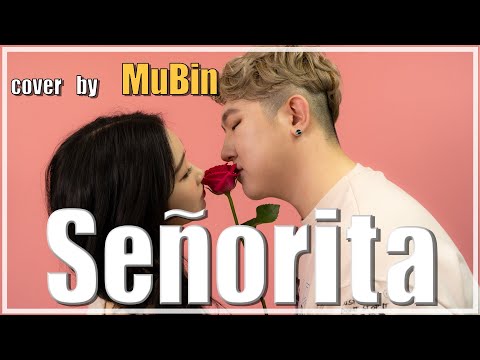 Señorita - Camila Cabello, Shawn Mendes // SingerMuBin (Cover)