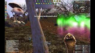 Darkfall PvP
