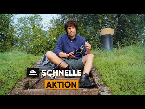 Zander Combo | Fish and Brains