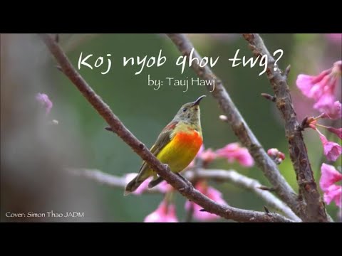 Koj nyob qhov twg? - Tauj hawj - [ COVER AUDIO ] Simon Thao