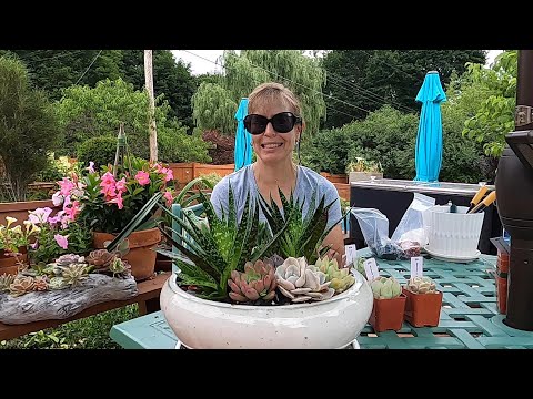 Unboxing Gift from The Next Gardener & Making a Succulent arrangement 💚🌿🎁// Suburban Oasis July 2021