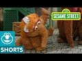 Sesame Street: Alice the Dancing Snuffleupagus