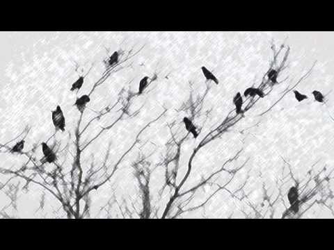 Worried Mary - Old Crow Medicine Show