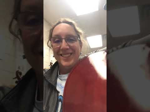 Pink Panther Cello Learning Concepts Intro & Theme, part 1