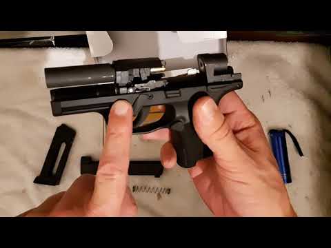 Sig Sauer P365 CO2 Blowback BB Pistol Table Top Review