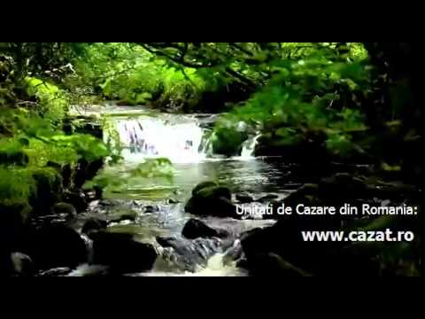 Cazare Bascenii de Sus, Buzau - Cazat.ro