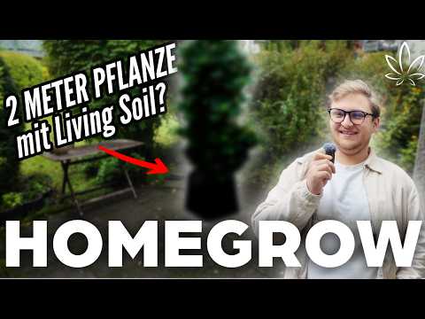 OUTDOOR with a SPECTATOR? THIS IS HOW HIS GROW WORKS! | Homegrow